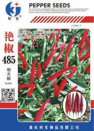 科光種苗“艷椒485”辣椒、“秋實(shí)1號(hào)”甘藍(lán)分別入選2025年農(nóng)業(yè)主導(dǎo)品種、農(nóng)作物優(yōu)良品種推廣目錄